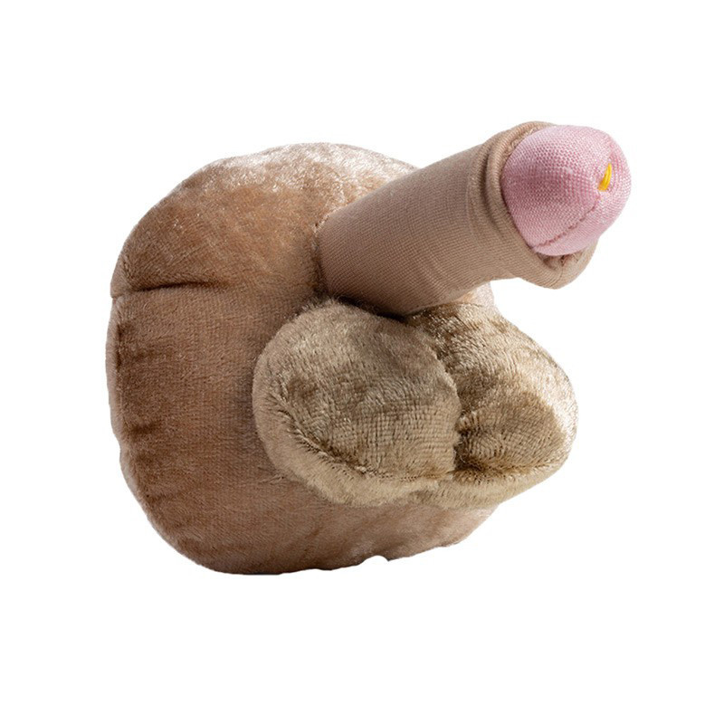 Modèle de pénis petit en peluche Paomi, Education sexuelle