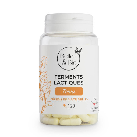 Gélules Ferments lactiques