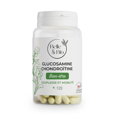 Gélules Glucosamine Chondroitine