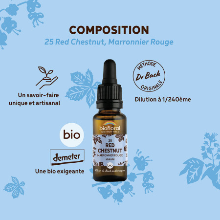 Fleurs de Bach n°25 - Marronnier rouge/Red chestnut Bio