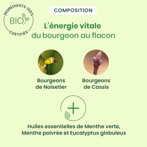 Gommes Gorge Fumeurs bio