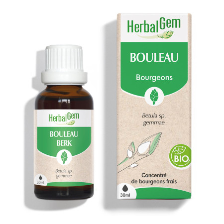 Macérat mère bourgeons de Bouleau Bio