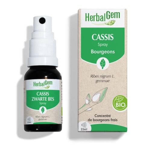 Macérat mère bourgeons de Cassis Bio