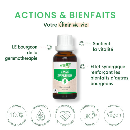 Macérat mère bourgeons de Cassis Bio