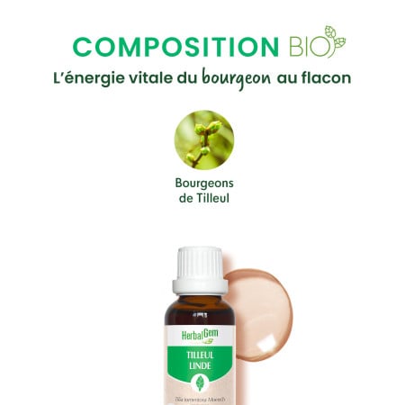 Macérat mère bourgeons de Tilleul Bio