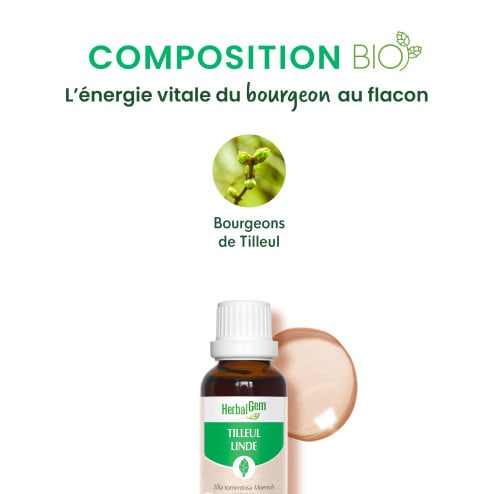 Macérat mère bourgeons de Tilleul Bio