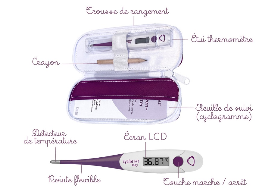 Thermomètre basal Lady pour le calcul de l'ovulation